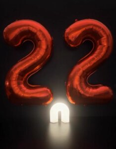 22 aniversario